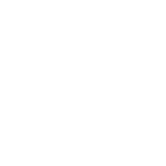Mega Stock